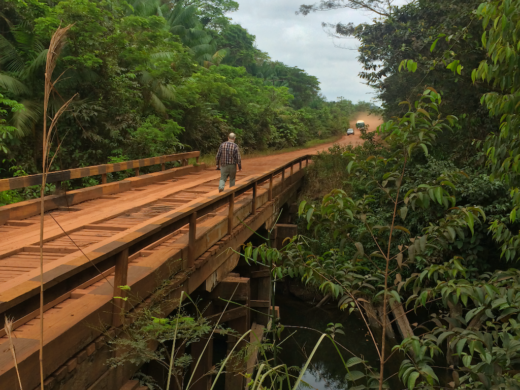 Amazon Rainforest Diesels