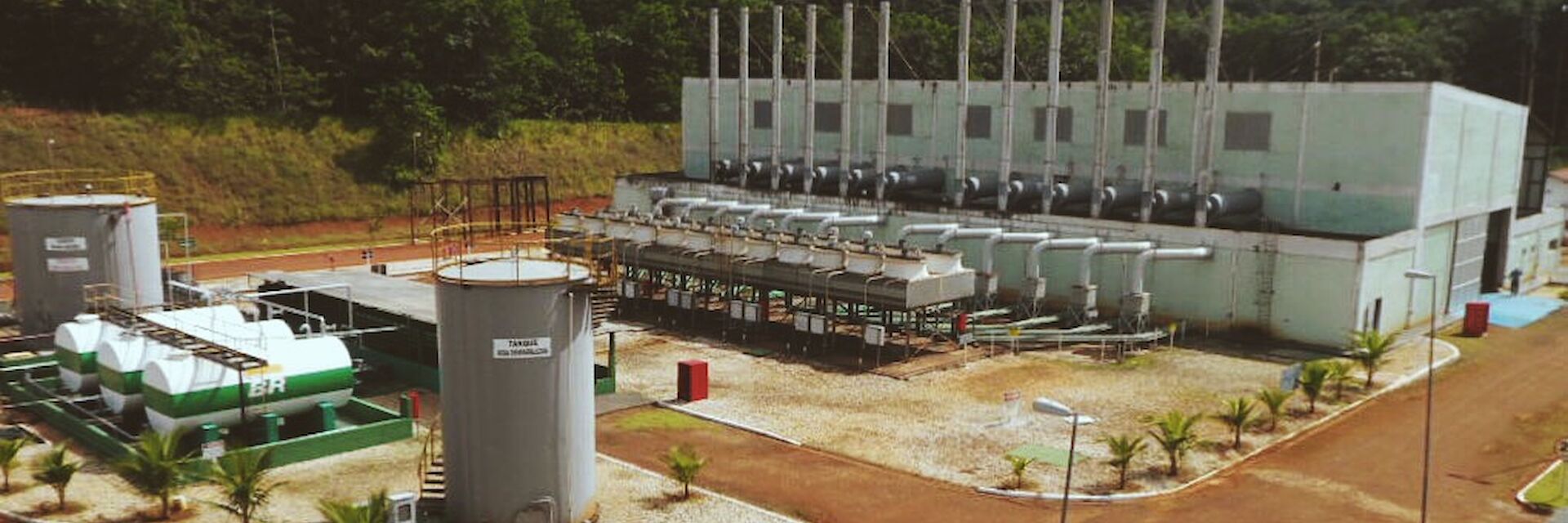 Amazon Rainforest Diesels